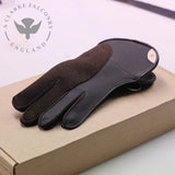 Short Cuff Double Thickness Falconry Glove